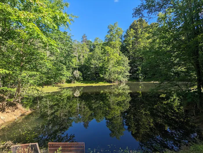 Boyers Pond Campground Picture 1