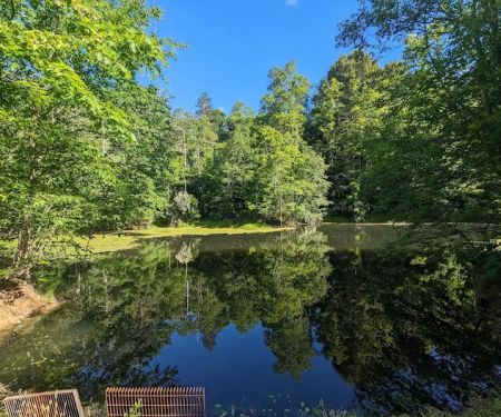 Boyers Pond Campground