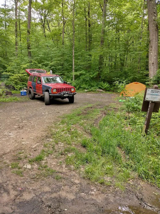 Forbes State Forest Motorized Site 2 Picture 7