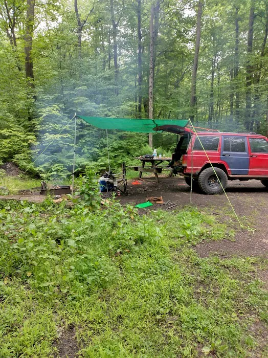 Forbes State Forest Motorized Site 2 Picture 8