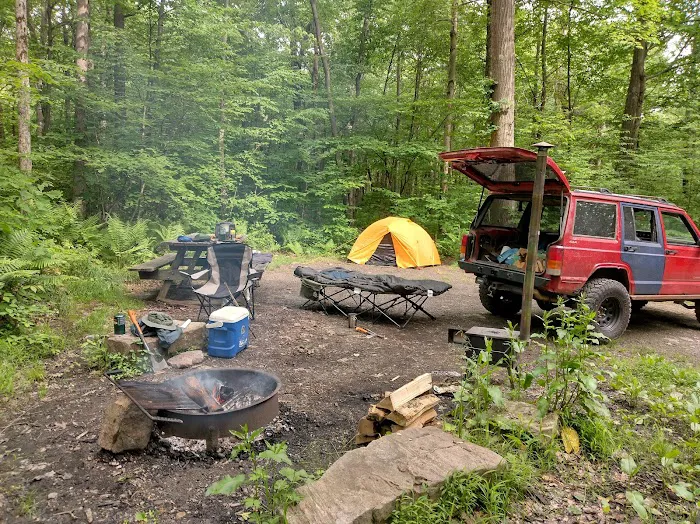 Forbes State Forest Motorized Site 2 Picture 6