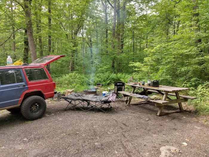 Forbes State Forest Motorized Site 2 Picture 10