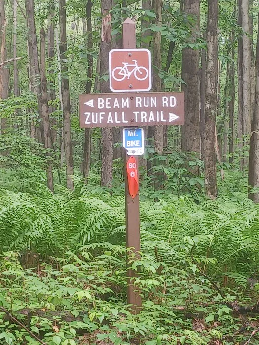 Forbes State Forest Motorized Site 2 Picture 4