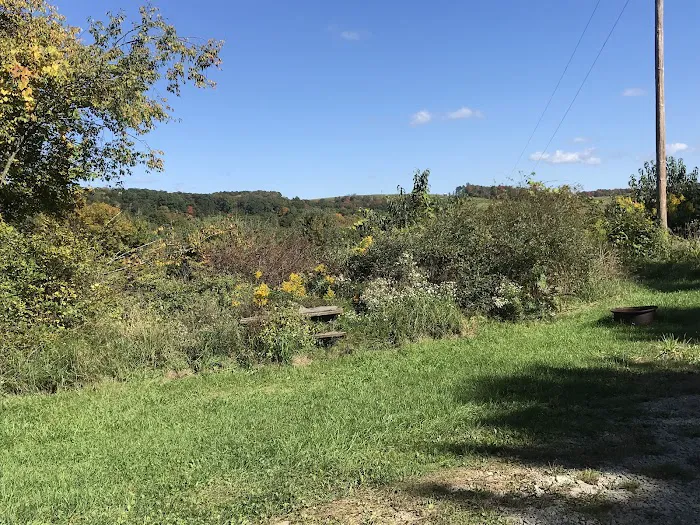 Woodland Campgrounds Inc Picture 4