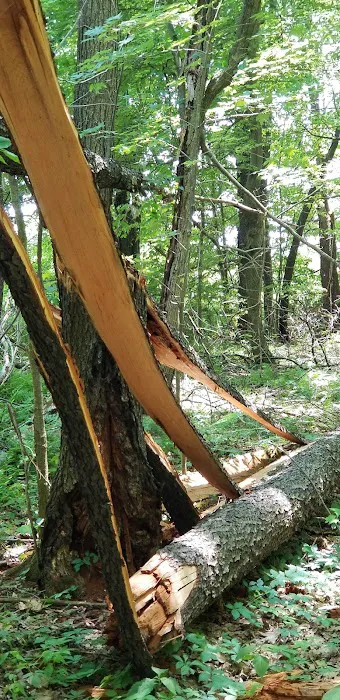 Woodland Campgrounds Inc Picture 5