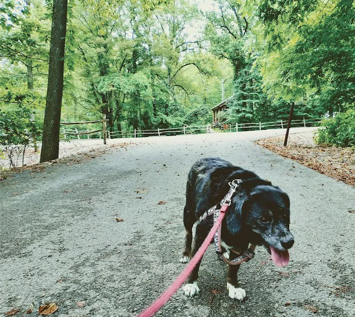 Lakeside Campground Picture 4