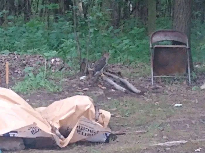 Keystone Korner Kampground Picture 2