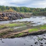 Keystone State Park - Cabin 10