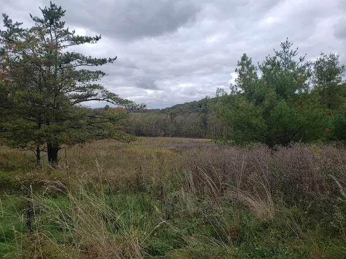 Family Cabins Picture 4