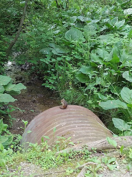 Family Cabins Picture 7