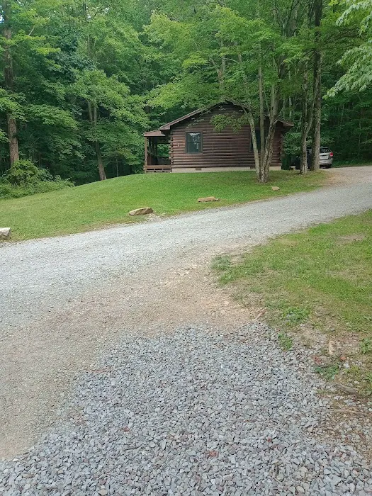 Family Cabins Picture 5