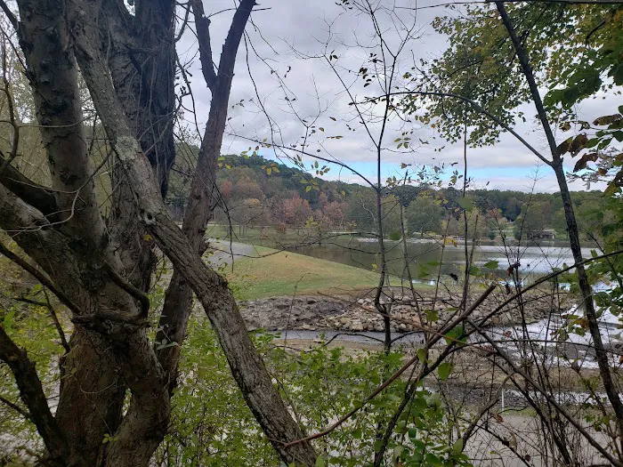 Family Cabins Picture 9