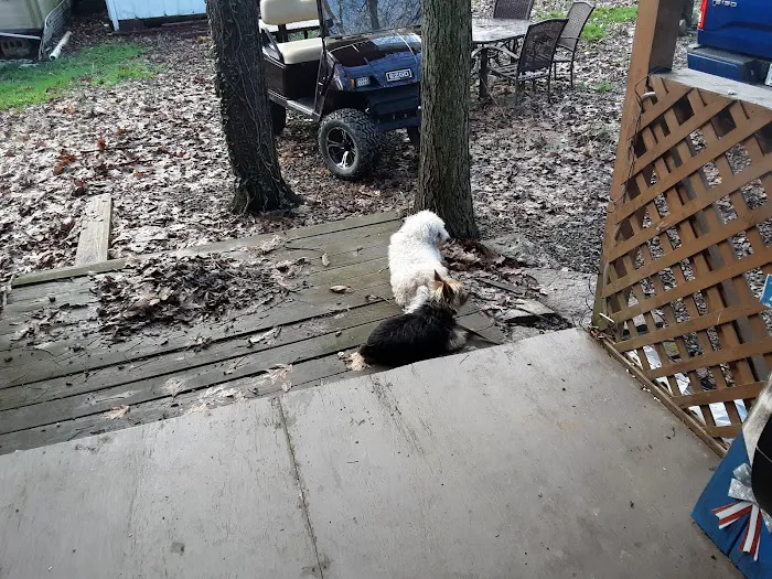 Lazy Acres Campground Picture 10