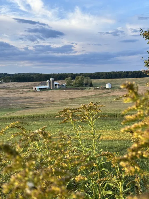 Marzullo’s Mountaintop Cabin Picture 8