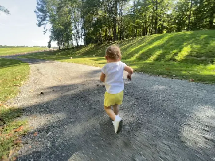 Lake Land Or Campground Picture 5