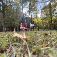 Lake Land Or Campground ico