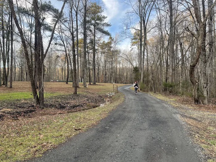 Lake Land Or Campground Picture 6