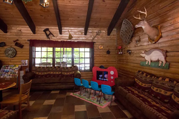 Richmond North / Kings Dominion KOA Holiday Picture 6