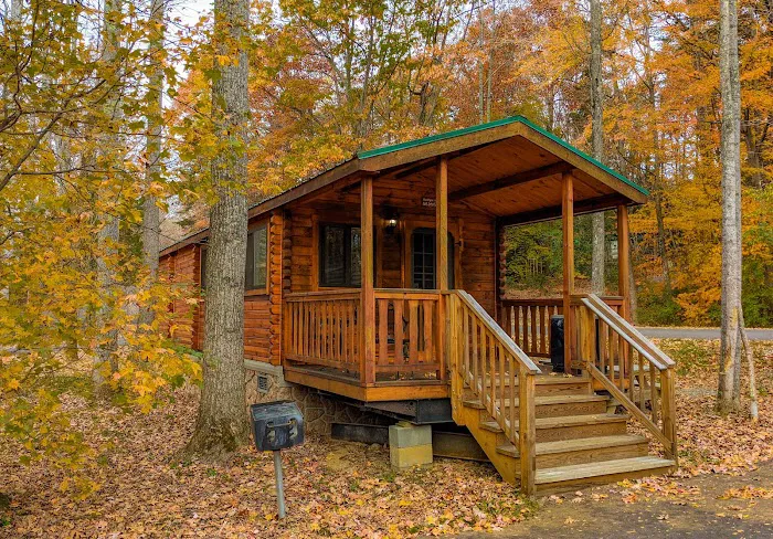 Wilderness Presidential Resort Picture 4