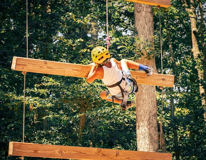 Wilderness Presidential Resort Picture 6