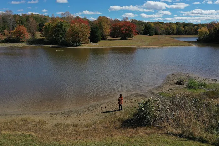 Wilderness Presidential Resort Picture 9