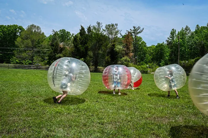 Wilderness Presidential Resort Picture 7