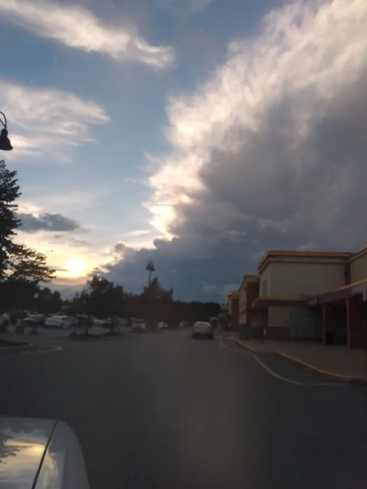 Rocky Branch Marina & Campground Picture 6