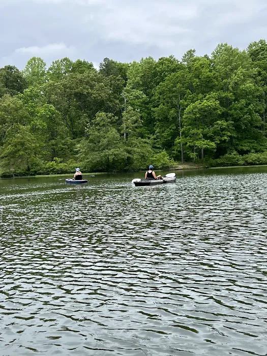 Rocky Branch Marina & Campground Picture 2