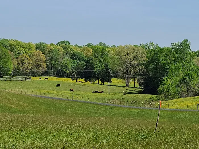 Christopher Run Campground Picture 7