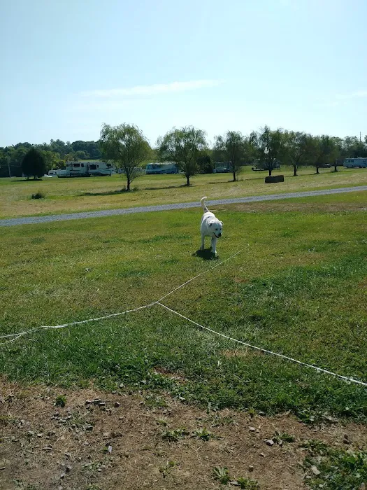 Nahkeeta Campsite LLC Picture 6