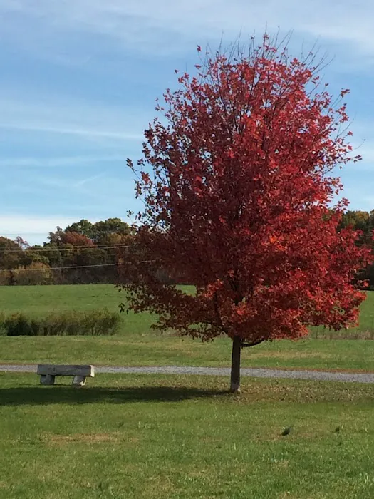 Nahkeeta Campsite LLC Picture 9