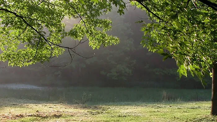 Friends Wilderness Center Picture 10