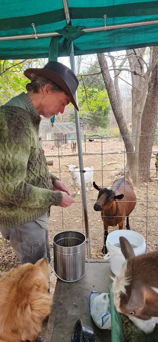 Friends Wilderness Center Picture 8