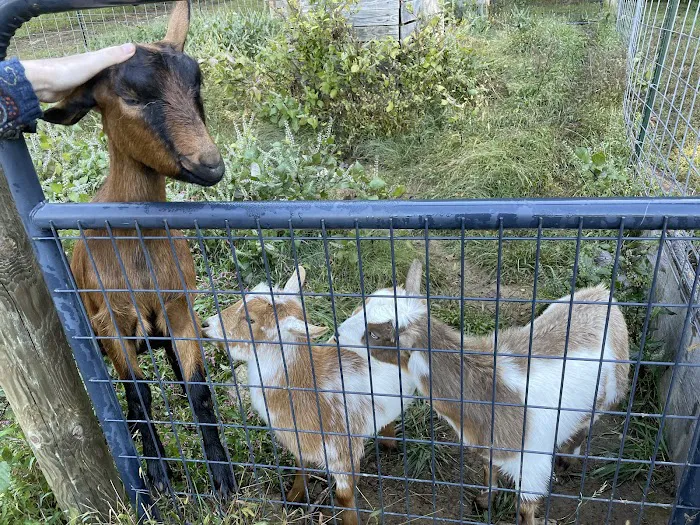 Friends Wilderness Center Picture 5