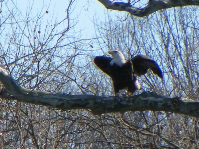 Watermelon Park & RV Campground Picture 4