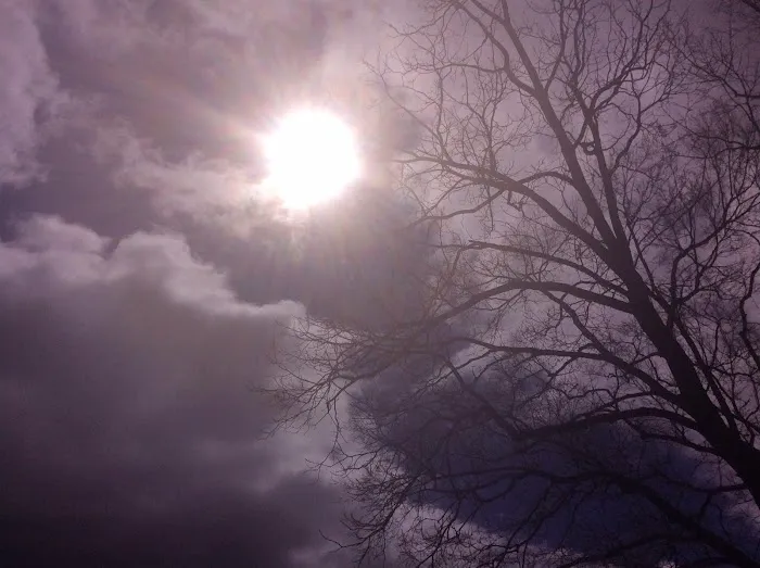 Watermelon Park & RV Campground Picture 8