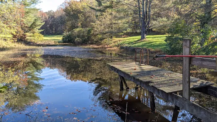 Mountain Lake Campground Picture 6