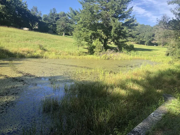 Mountain Lake Campground Picture 5