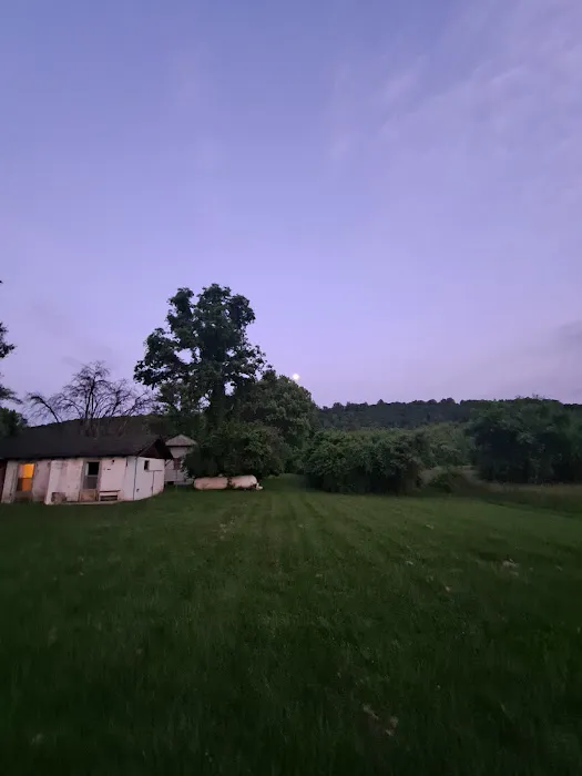 Mountain Lake Campground Picture 8