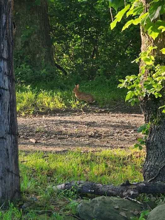 Sky Meadows Campground Picture 8