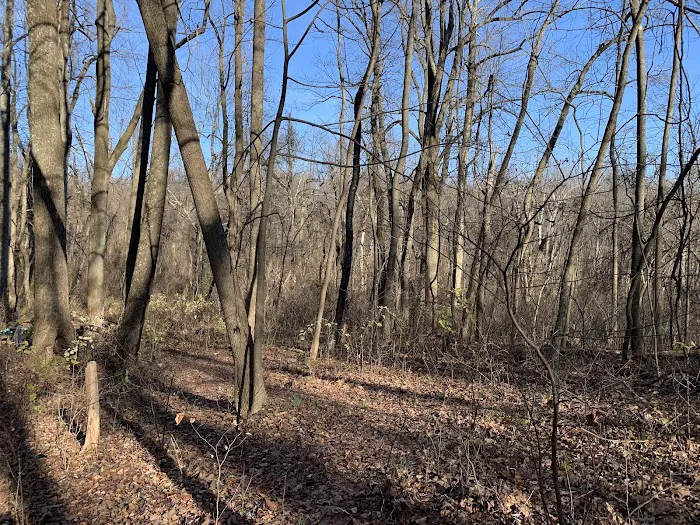 Mosby Campsite Picture 9