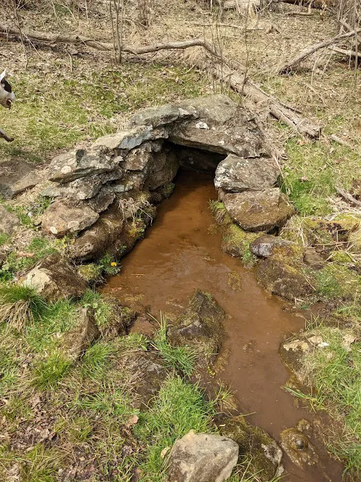 Mosby Campsite Picture 10