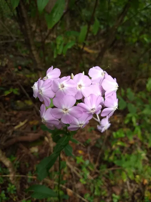 Mosby Campsite Picture 6