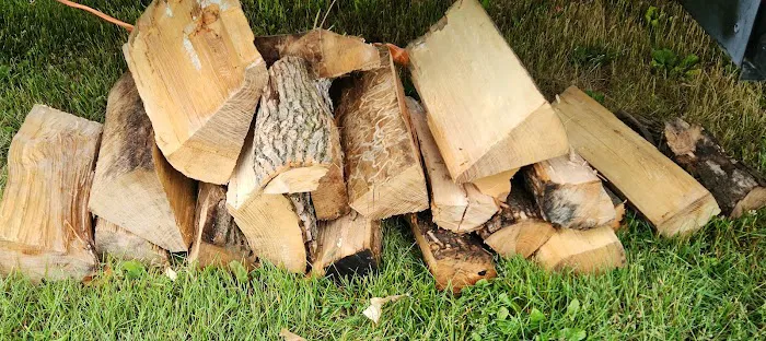 Niagara Woodland Family Campground Picture 4