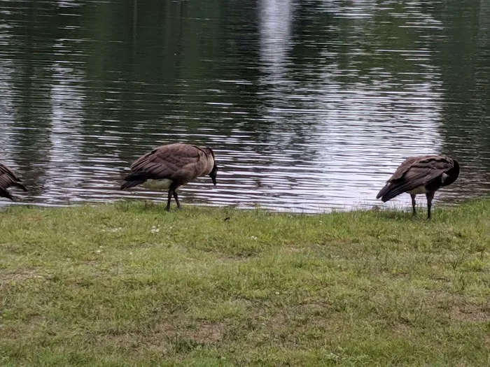 Niagara's Lazy Lakes Camping Resort Picture 6