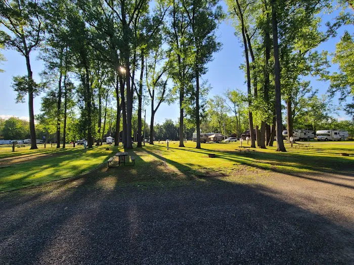 Niagara's Lazy Lakes Camping Resort Picture 3