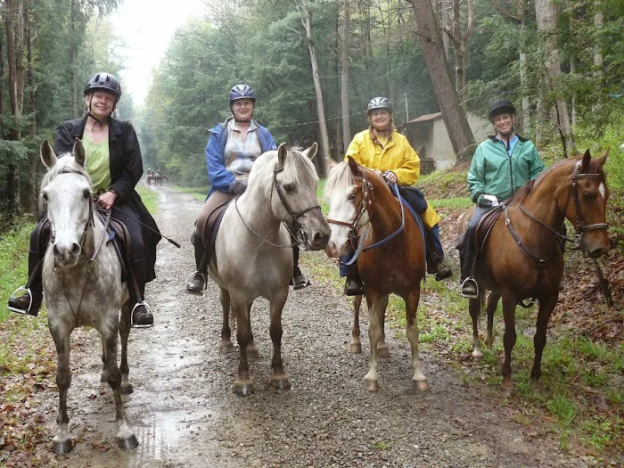 Hickory Creek Wilderness Ranch Picture 7