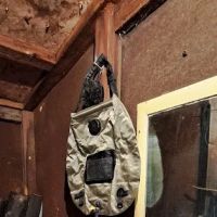 Michael's retreat ico