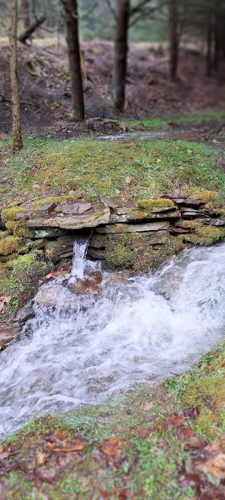 Michael's retreat Picture 4