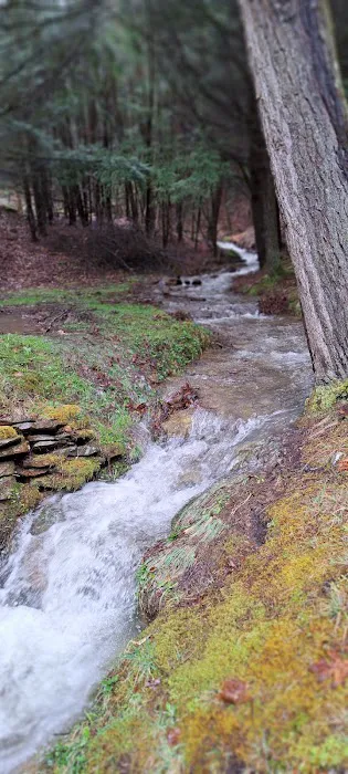 Michael's retreat Picture 2